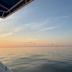 Meet your Posher, Paxton